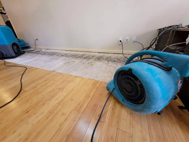 Professional Water Damage Repair technician working in Wayne, OK